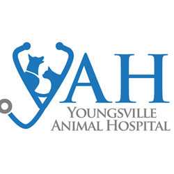 Your Choice For Hometown Veterinary Care Is Youngsville Animal Hospital!