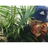 lickmyflavorz__'s profile image