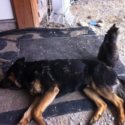 Terryjrbone's profile picture. 