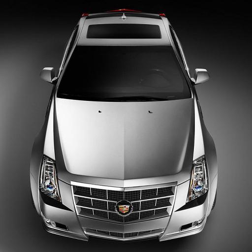 nikkihidalgo15's profile picture. 