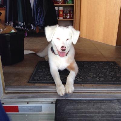 Equusnowonthego's profile picture. 