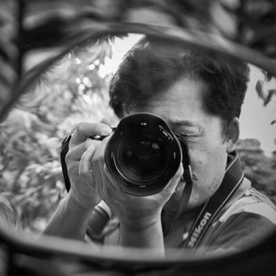 dankolight's profile picture. 