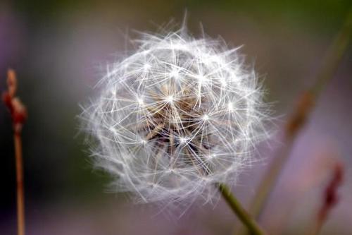 jenniferbeebe's profile picture. country as a bowl of grits