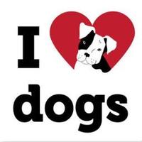 I Heart Dogs Rescue & Animal Haven (@iheartdogshaven) 's Twitter Profile