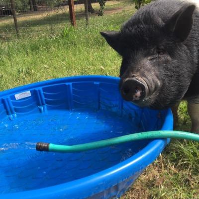 manina12345's profile picture. 