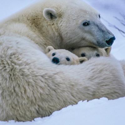 Wild animal lovers