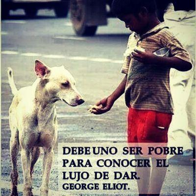 neyasamo161297's profile picture. 