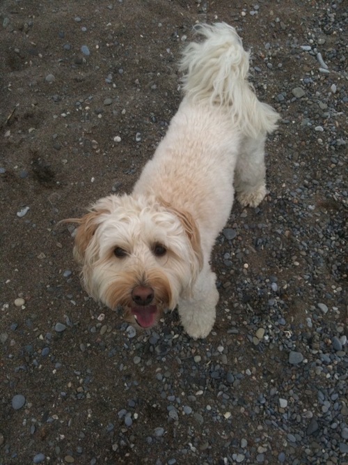 Webid1's profile picture. 