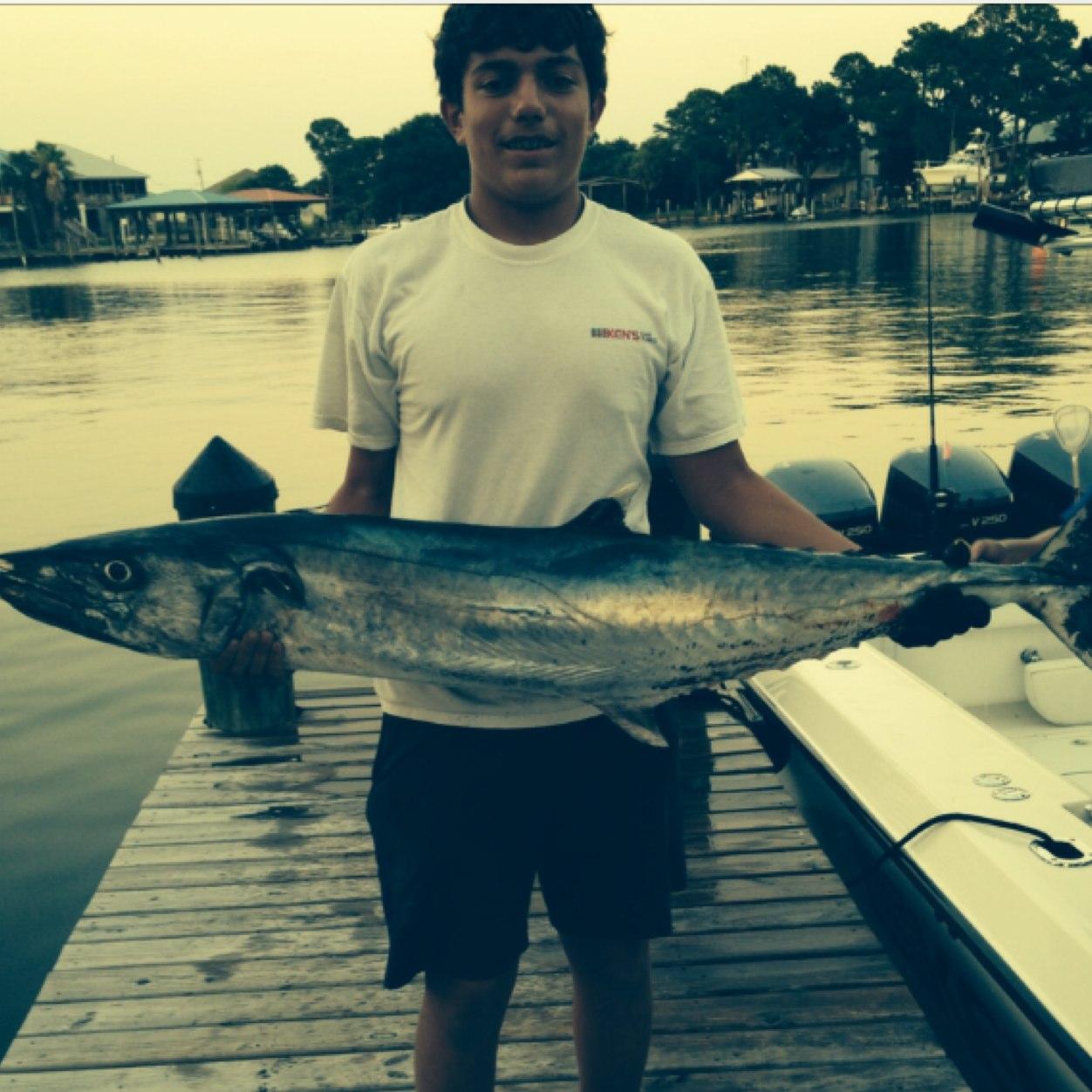 Tyler4AU's profile picture. 