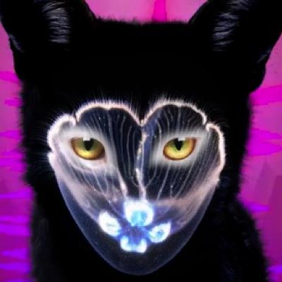 ~Anime, Manga, Art, Horror, Music, WWE, Gaming, and YouTube loving Vegetarian~ Instagram: merrggie :3