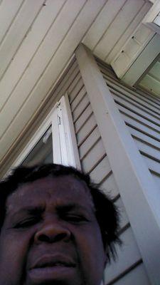 jasper_evelyn's profile picture. 