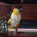 Lee Lane Pets (@leelanepets) Twitter profile photo Lee Lane Pets (@leelanepets) Twitter profile photo