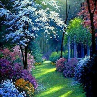 khushijain1351's profile picture. 