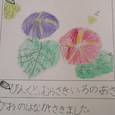 アサガオの観察日記 Asagaogaogao123 Twitter