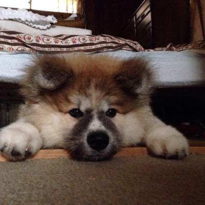 POCdZwnXwLRTn09's profile picture. 