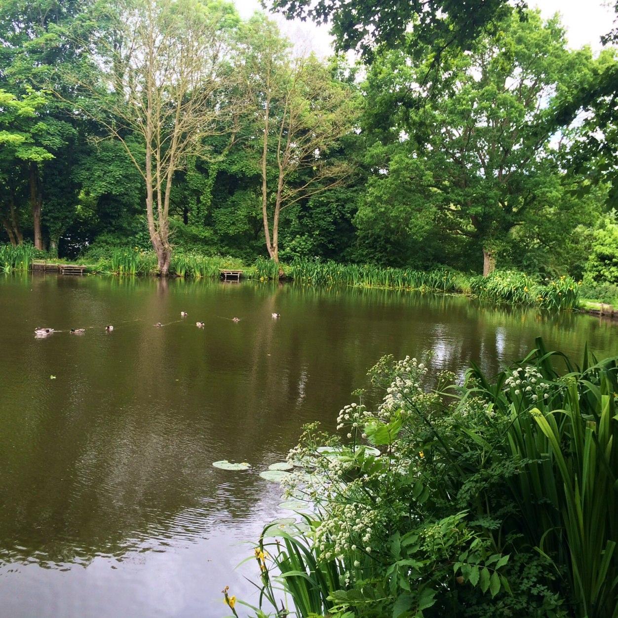 annienumberone's profile picture. 