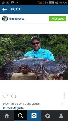 Checas3553's profile picture. 