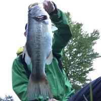 yuki (@george_8) Twitter profile photo