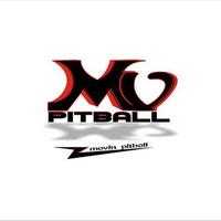 Movin Pitball (@movin_pitball) 's Twitter Profile Photo Movin Pitball (@movin_pitball) 's Twitter Profile Photo