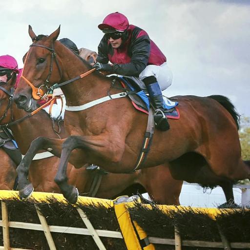 a_bit_dizzee's profile picture. Horse racing. Still.