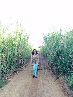 dignity_classy's profile picture. Be unique, Be special, Be yourself :)

Indian 🇹🇯
A Jaipurite 😚 
Proud daughter of Ex PCCF Rajasthan  (IFS) Officer