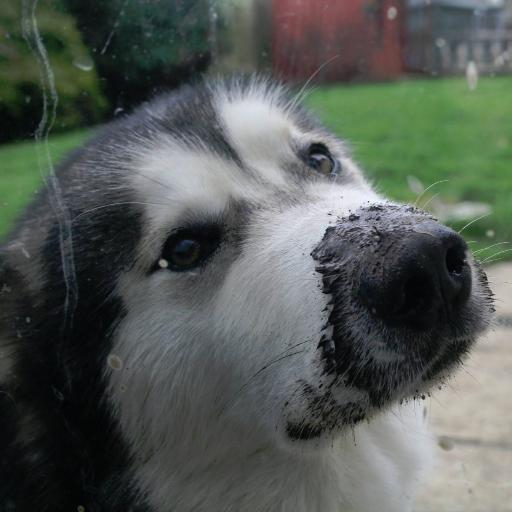 jackpcraig's profile picture. 