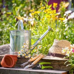 Visita il nostro Blog! Consigli di Giardinaggio, Orto e Frutteto, cura e manutenzione delle piante e fai da te.