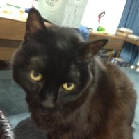 Brewskie (@brewskiesbrew) 's Twitter Profile