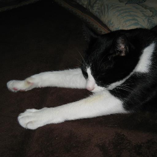 spdv9qa9's profile picture. 