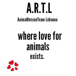 We are an animal rescue team, aiming to have a better future for all animals across Lebanon.
http://t.co/qg4yfgSFxl.lebanon@gmail.com