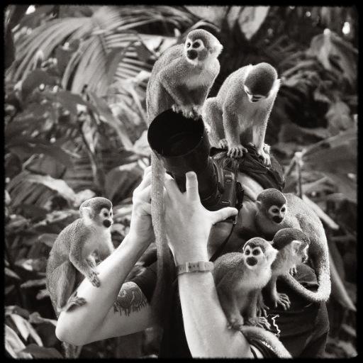 RyanEdwardson's profile picture. Cinematographer, Editor, Colorist at Echo Bay Media. Cameraman on 'Into the Rising Sun' on Amazon Prime TV. Photographer. Researcher. Author. Toronto/Guelph.