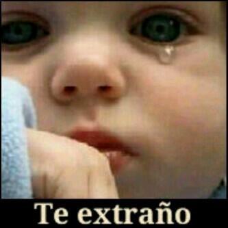 davidgo90643160's profile picture. 