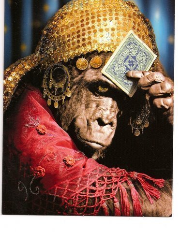 organczar's profile picture. Yanking the Chain of the Ultra-Liberal Left