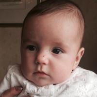 Clare Fitton (@clarefitton) 's Twitter Profile