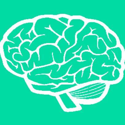 headsmatter's profile picture. headsmatter. Living with brain injury - campaigning for change.