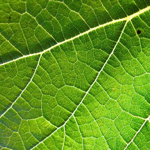 HeiaNaturen's profile picture. Naturelsk og miljønyheter fra flere miljønettsteder, snekret av @mskogly. Forsøksvis partinøytral.  
Love nature! #mernatur