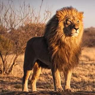 ManjunathMayur's profile picture. 