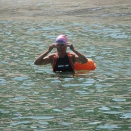 Living the dream, whippets, water & wine; Sennen, swimming & sea