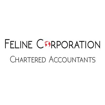 Felinecorpltd's profile picture. A London based accounting company providing simple solutions for innovative people.