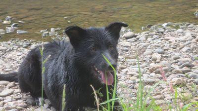 boubougne2011's profile picture. 