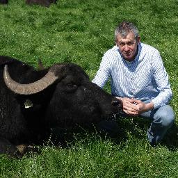 macroombuffalo's profile picture. We produce 100% Irish Buffalo cheeses in Macroom, Co.Cork.