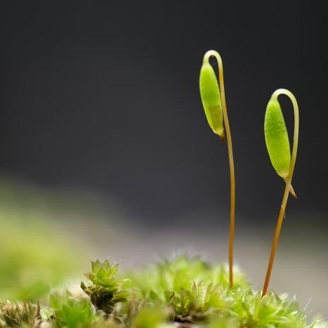 ierske's profile picture. 