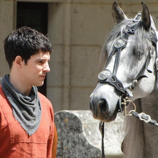 Account dedicated to the #Merlin fandom ❤ Met Colin @London (30/12/13) & went to Pierrefonds twice^^ Profile pic&header are my own :) Say hi!