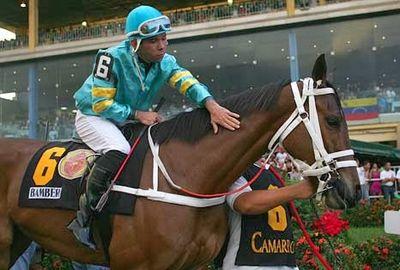 PROYECTO PARA LOS APASIONADOS AL HIPISMO ........PARLEY.... PRONÓSTICOS..RESEÑAS....INFORMACIÓN...JUEGOS Y ACTUALIDAD !!!!!!!