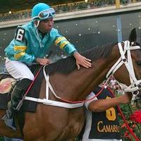 GRUPO HIPICO (@grupohipico) 's Twitter Profile