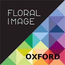 Ox_Floralimage's profile picture. 