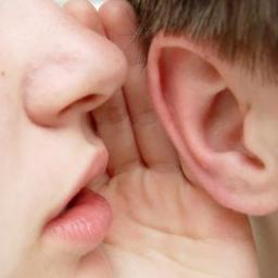 elchismepoliti1's profile picture. 