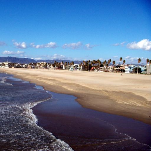 Sharing the very best of all #AbbotKinney and #VeniceBeach, CA have to offer.