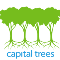 Capital Trees (@capitaltreesrva) 's Twitter Profile