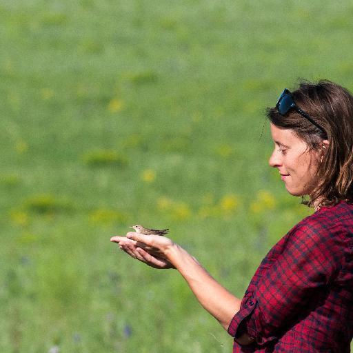 Spatial ecologist, postdoctoral researcher at lab of conservation sciences (CESCO) of the Museum of Paris. Now on @annechrismonnet.bsky.social !